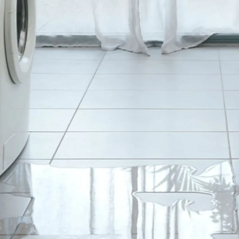 Appliance Leak Cleanup in Parker, TX