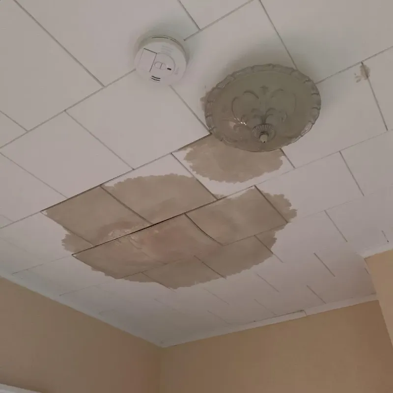 Ceiling Water Damage Repair in Parker, TX