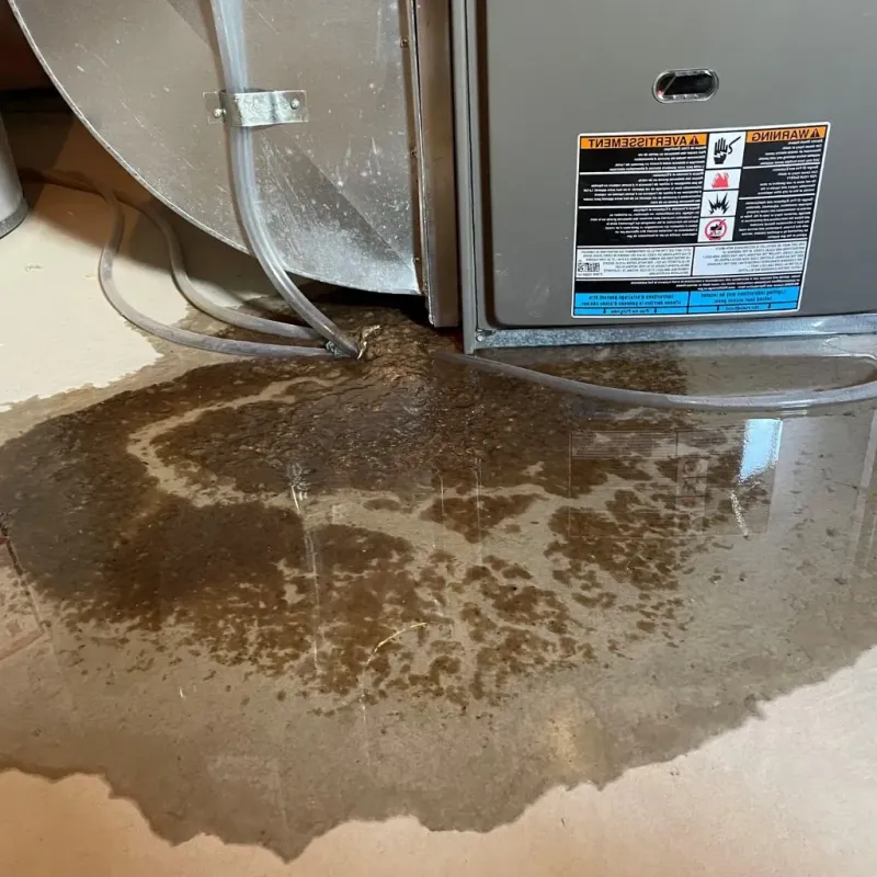 Pipe Burst and Leak Restoration in Parker, TX