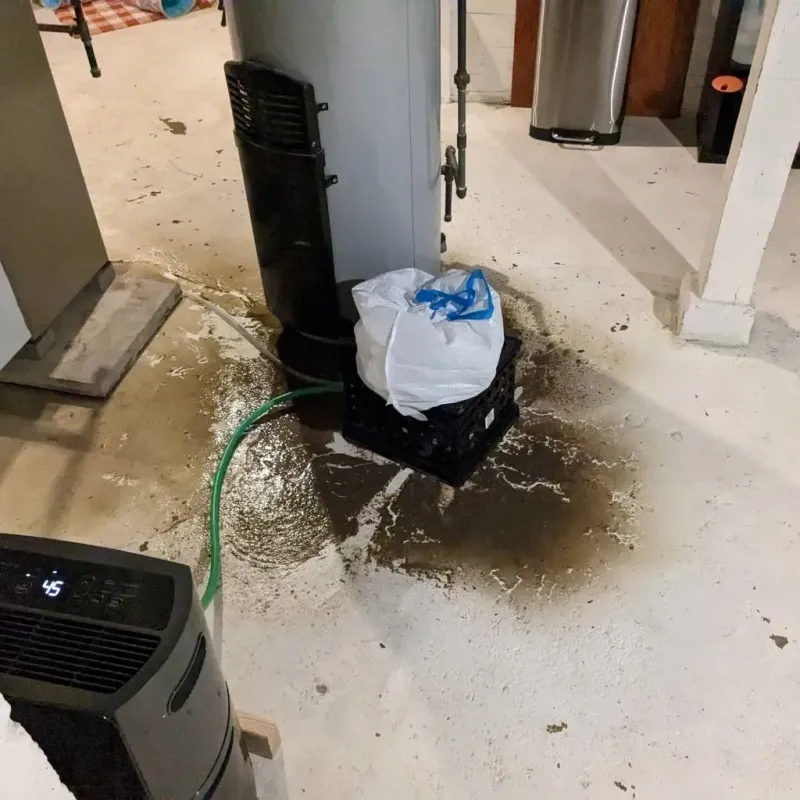 Sewage Backup Cleanup Service in Parker, TX